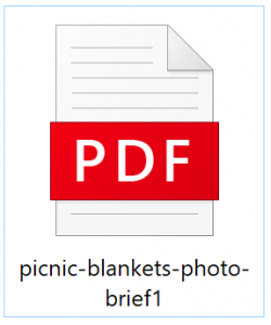 picnic blankets photo brief